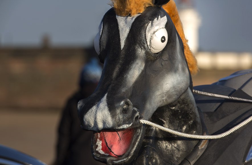 A jetski race horse